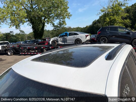 image_1787601355117